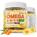 オメガ3-6-7-9グミー、有機海バックソーンオイル1200MG&亜麻仁油500MG、ビーガンオメガ7サプリメントW /ビタミンA、C、E、脂肪酸、魚の味なし、皮膚、目、免疫、脳の健康、60Cts