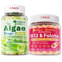 束: Algae Omega 3のグミー1のパック及びメチルB12 + L-Methylfolateのグミー1のパック