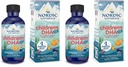 ノルディックナチュラルズ子供用DHA Xtra、ベリーパンチ - 子供のための2オンズ - 880 mg合計オメガ3sとEPA&DHA - 認知&免疫機能、学習、社会開発 - 非GMO - 48サービング(パッケージ2)