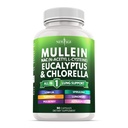 肺の清潔なNACの補足のChlorophyllのChlorellaのエルダーベリーのジンジャーのLicorice Astragalusのオレガノのターメリック サポート90の計算のためのMulleinの葉のエキス