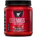 BCAA、クレアチン、グルタミンとBSN CELLMASS 2.0ポストワークアウト回復 - Ketoフレンドリー - アークティックベリー、(25のサービング)(1048058)