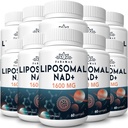 1600のmgのLiposomal NADの補足、98%の純粋なNAD+の補足、優秀な吸収、別名でニコチンアミドの肋骨またはNADHが老化の防衛、エネルギー、長寿、600のSoftgelsのためのNAD+を後押しします