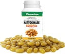 PHARMAKON Natural Nattokinase Organic Fermented Soybean Extract, 6000 FUs per Serving