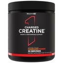ルール 1 タンパク質 満たされたクレアチン - クレアチン、電解質、およびエネルギーブレンド 強度、性能、および水和サポート(30 のサービング、マンダリン マンゴー)