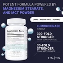 有効な Lumbrokinase の補足(120 のサービング) 40mg/サービング(最高活動- 800,000 単位) - Lumbrokinase エネルギー サポート、消化、認知及び腸の健康のためのカプセル-Nuttokinase に類似した
