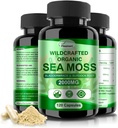 Irish Sea Moss Capsules 120ct Raw Sea Moss Wildcrafted Bladderwrack Burdock Root Capsules Super Food Immune System Digestive Health Sea Moss Pills