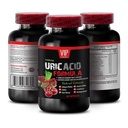 Uric acid cleanse and detox - URIC ACID CLEANS - URIC ACID FORMULA - uric acid flush pills, uric acid formula advanced complex, Pomegranate, Milk Thistle, Green Coffee Bean 1 Bottle 60 Capsules