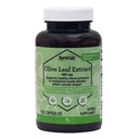 Vitacost Synergy®, Olive Leaf Extract, 500 mg, 120 Capsules