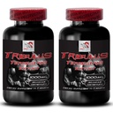 Energy Performance Formula - TRIBULUS TERRESTRIS EXTRACT - Muscle Power Booster, Active Strength Support, Dynamic Stamina Boost, Physical Energy Recharge, Strength and Power, Energy 2 Bottles 180Tabs