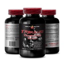 tribulus terrestris extract bottle - TRIBULUS TERRESTRIS EXTRACT - tribulus terrestris extra strength, tribulus terrestris powder for drinks, tribulus terrestris high 1 Bottle 60 Capsules