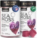 Multimineral Sea Moss Gummies 3000 Mg with Probiotic, Bladderwrack, Black Seed Oil, Ashwagandha, Burdock Root (2 Pack) - Irish Seamoss for Immunity, Thyroid and Gut Health - Vegan, Sugar Free