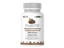 (LeeWell) Japanese Knotweed Root Extract 500mg | Trans Resveratrol (biologically active form) | Polygonum Cuspidatum, | cardioprotective, neuroprotective, Metabolic Health, inflammation, Cellular function - 60 Capsules