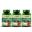Naturally Sourced Astaxanthin 4mg | Supports Antioxidant Brain,Eye & Skin Health | Improves Muscle Endurance & Recovery, Builds Immunity (Pack Of 3)