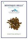 Mystique Hills Forsythia Extract Powder (100 g)