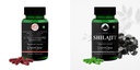 L Glutathione Reduced Shilajit Wellness Daily Vitality |60 CAPSULES