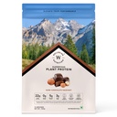 Wellbeing Nutrition Organic Vegan Plant Protein Isolate | 22g Protein, 5g BCAA, 3B CFU Probiotics, Enzymes, 3g Fiber, 5 Alkalizing Greens | NO Bloating, Easy to Digest | Dark Chocolate Hazelnut 500gm