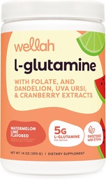 Wellah L-グルタミンパウダースイカライム(50サービング) - サービングあたり5g L-グルタミン、スティービアと甘く
