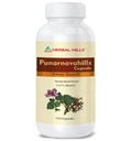 Herbal Hills Punarnava Capsules, Punarnavahills 120 Count Punarnava Urinary Wellness