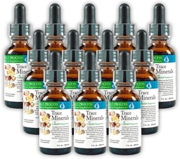コルイダルサスペンション(12パック)モルターヘルスシステムベストプロセスアルカリ - Nutrient Dense Trace Elements、Fulvic Minerals&Amino Acids