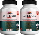 Wellary Max Menopause Support Supplement, 40 Billion CFU Probiotic Blend, 90 Capsules (2)