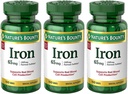 Iron 65 mg, 3 Bottles (100 Count)