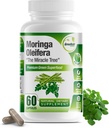 ビタミンC、オメガ3およびアミノ酸と純粋なMoringa Oleiferaグリーンスーパーフードカプセル - ブーストエネルギー、気分、メモリ、免疫サポート - 有機Moringa、非GMOから作られた - 60カプセル(1ボトル)
