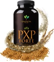 Alfa PXP Forte 150 grm 30 サービング ボトル グラウンド