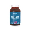Akasha Superfoods Sea Mosss カプセル, ブラッドダーラックルートとオーガニックアイリッシュモス, ブルドックルート, と BioPerine, 皮膚, 甲状腺, 女性&男性のための消化及び免疫サポート, グルテンフリー, ビーガン, 60 カウント