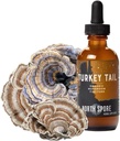 North Spore Organic Turkey Tail Tincture | Mushroom Supplement for Immune Wellness | Sustainably Grown & Confirmed for Potency | Trametes Versicolor Extract | Vegan, Non-GMO - 2oz