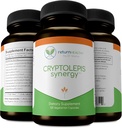 Cryptolepis Synergy、免疫サポートビタミン、大人のための免疫システムブースター、肝臓、リンパ&免疫サポートサプリメント、ライム&自然寄生虫防衛、120カプセル、3パックをサポート