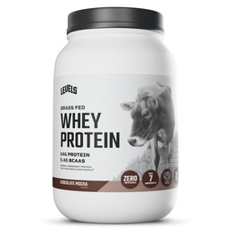 レベル草の餌の乳清蛋白質の粉、人工物無し、蛋白質の24G、チョコレート モカ、2LB