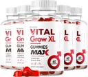 5 パック)バイタルは XL の男性のガミーを育てます - 人の性能のガミー 1050MG のバイタル GrowXL のバイタル成長のガミーの高度の方式、5 か月のための 300 のガミー