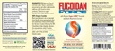 FUCOIDAN FORCE® - 24 Bottles Pack