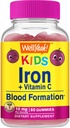 WellYeah Iron Gummies for Kids with Vitamin C - Anemia Support, Red Blood Cell Formation, Energy, and Immunity Support Gummy, Iron Supplements for Kids - GMO Free, Natural Grape Flavor - 60 Count