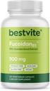 BESTVITE Fucoidan Extract 500mg(85% Fucoidanに標準化)(120ベジタリアンカプセル) フィラーなし - Stearatesなし - いいえフローエージェント