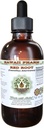 Red Root Alcohol-Free Liquid Extract, Red Root (Ceanothus Americanus) Dried Root Bark Glycerite Natural Herbal Supplement, Hawaii Pharm, USA 2 fl.oz