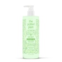 ココナッツ ライム ボディ ローションの麻の種油 THC なしの野菜コラーゲン ビタミン E 16.9 oz