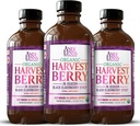 Andi Lynn's Organic Harvest Berry Syrup for Kids and Adult - 免疫サポートのための本物のハニー・エルダーベリー・シロップ - 治療式 - 4 Fl. Oz(パッケージ3)
