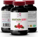 hawthorn berry capsules - HAWTHORN BERRIES EXTRACT - hawthorn extract supplement, hawthorn berry extract capsules, berry extract powder, wild berry energy, hawthorn energy pills 1 Bottle 60 Capsules