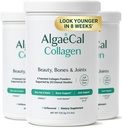 ALGAECAL コラーゲン - 4 臨床的にサポートされているペプチド VERISOL®, FORTIGEL®, UC-II®, FORTIBONE®, アンチエイジング 加水分解コラーゲンパウダー, 3 パック, 米国製