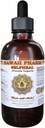Selfheal Liquid Extract, Organic Selfheal (Prunella Vulgaris) Tincture, Herbal Supplement, Hawaii Pharm, Made in USA, 4 fl.oz