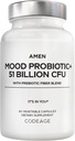 Amen Mood Probiotic Supplement 51億CFU - 有機プレバイオティクスとプロバイオティクス - 酸性プロバイオティクスピル、繊維 - 気分有機アシワガンダ、ブルーベリー - ビーガン&非GMO - 60カプセル