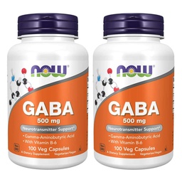 NOW Gaba 500mgの100の計算(2のパック)